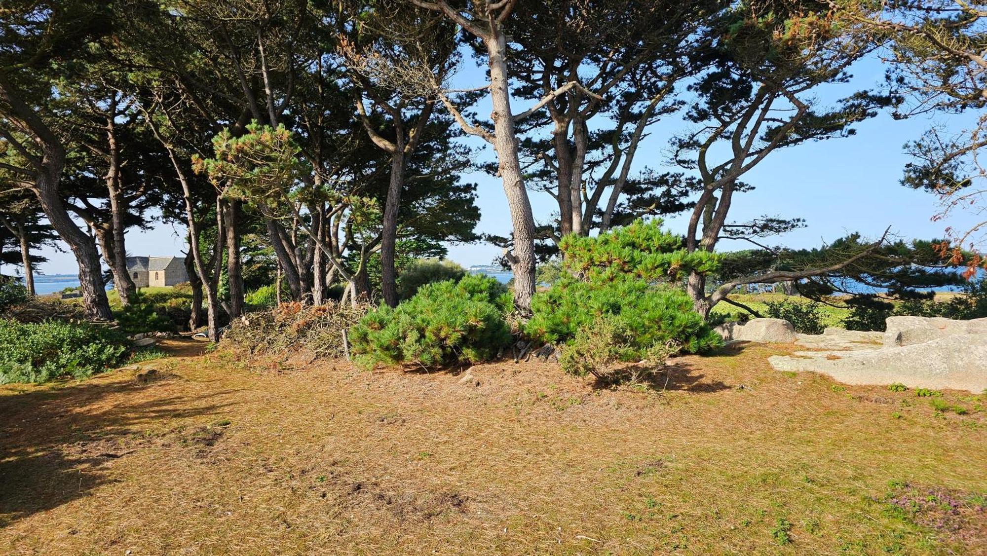 Ker Douara - Ile Callot Carantec Exterior foto